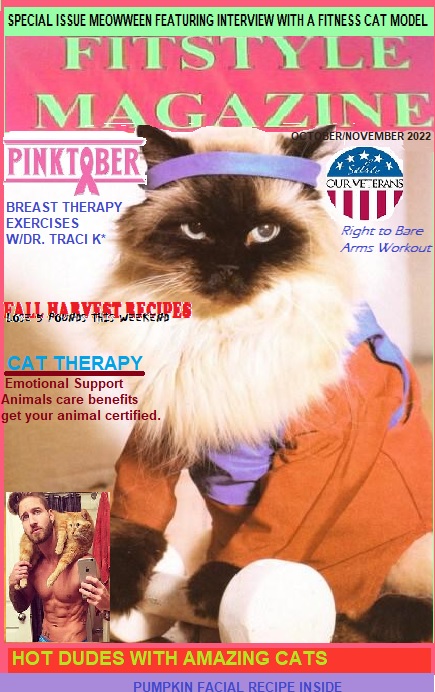 MeoWWeen Model Search